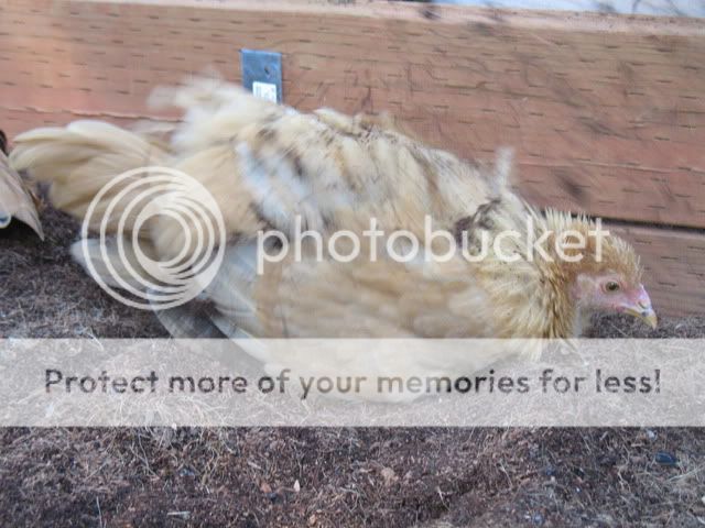 IMG_3562.jpg