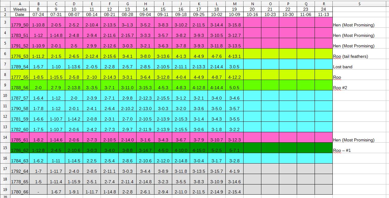10-09.jpg