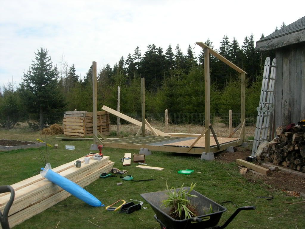 DSCN2401.jpg