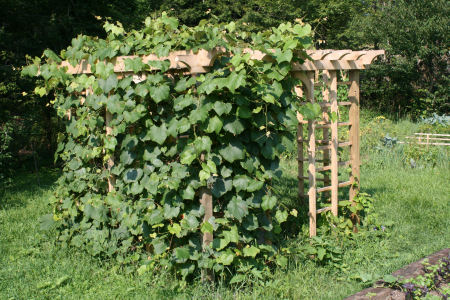 19-pergola-01m.jpg