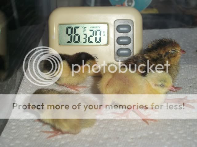 100_5793.jpg