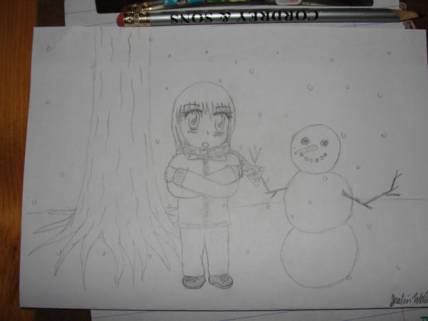 Random_Snowy_Drawing_by_justino16.jpg