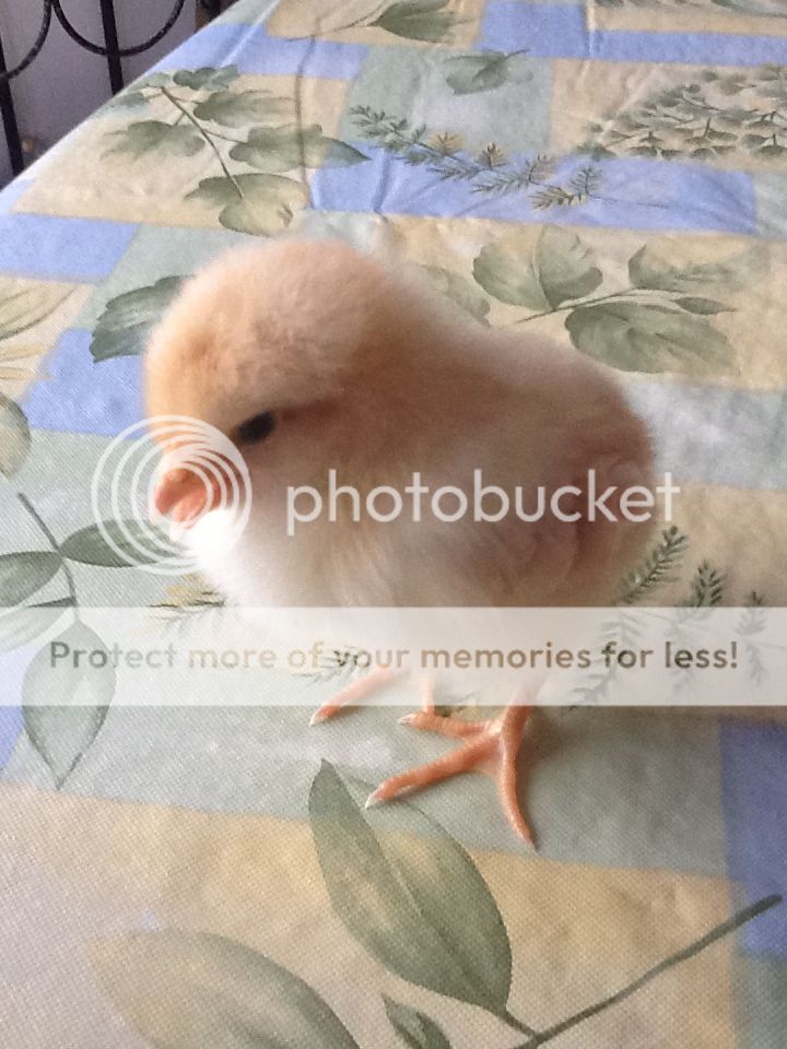 db76a983e298ba0fef96357d4798c756.jpg