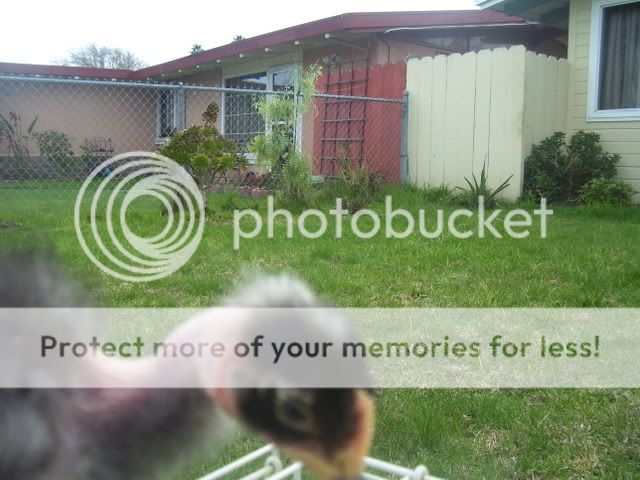 100_2780.jpg