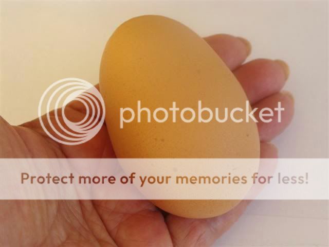 Hugeegg10-09-2010003Small.jpg
