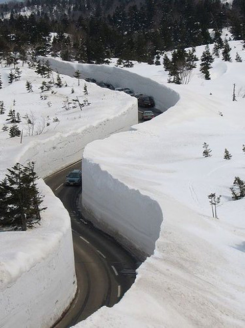 Japan+snow.jpg