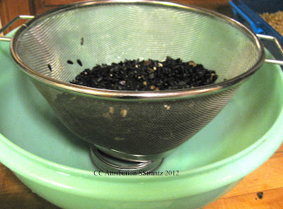 On+Jar+Ring2.jpg