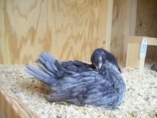 100_0785.jpg