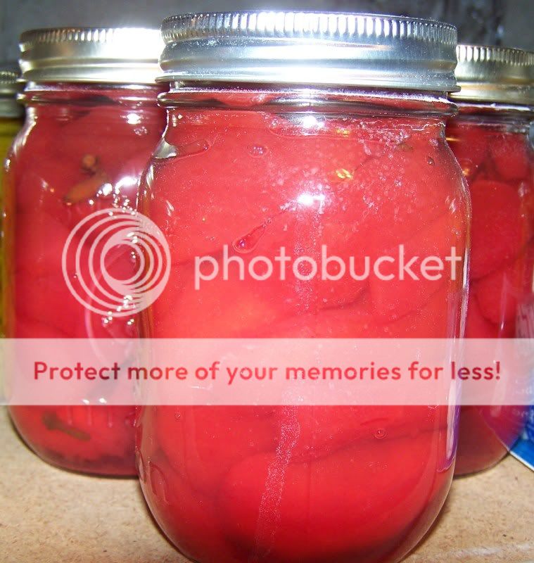 canning2011010.jpg