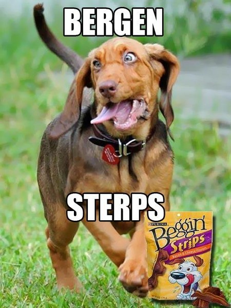 Dog+Funny+Memes.jpg