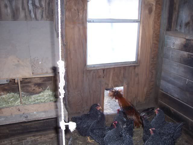 HorseStall04.jpg