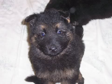kane5weeks4.jpg
