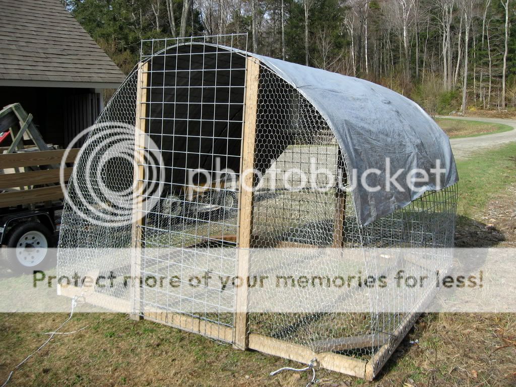 Chickentractor2.jpg