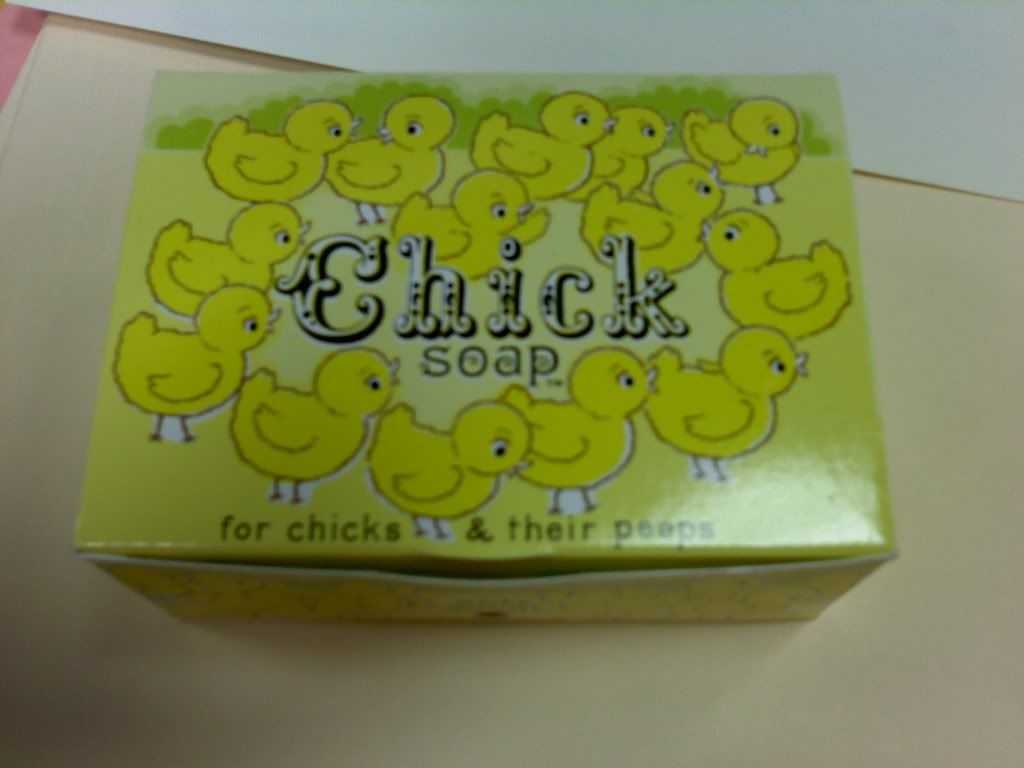 chicksoap1.jpg