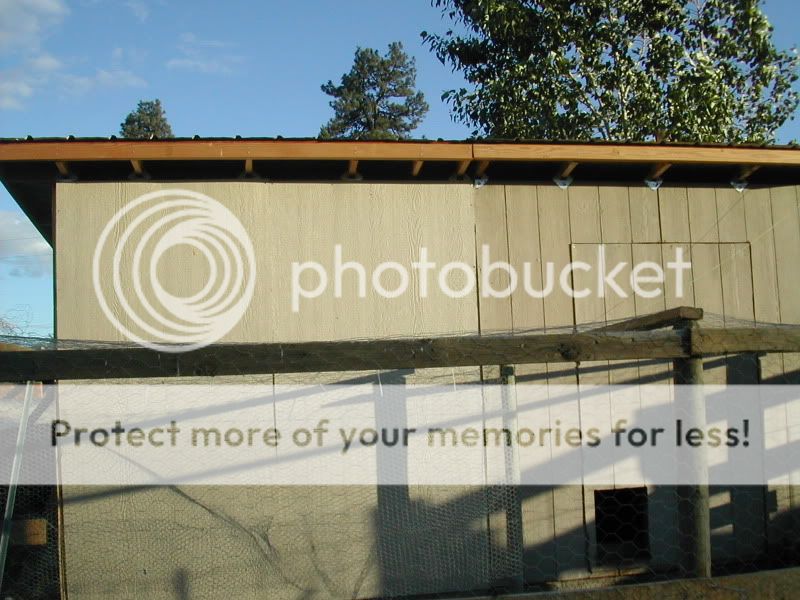 CoopExteriorJune09backsideofcoopold.jpg
