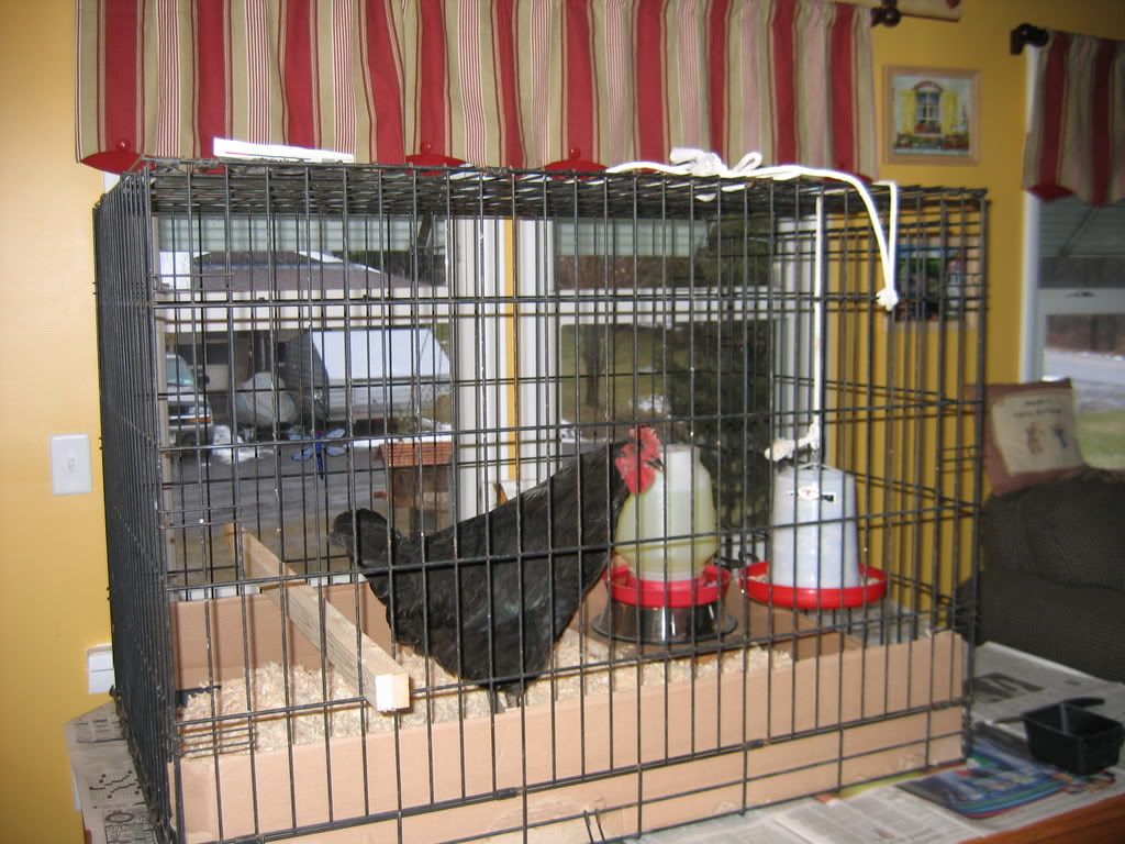 IMG_1277.jpg