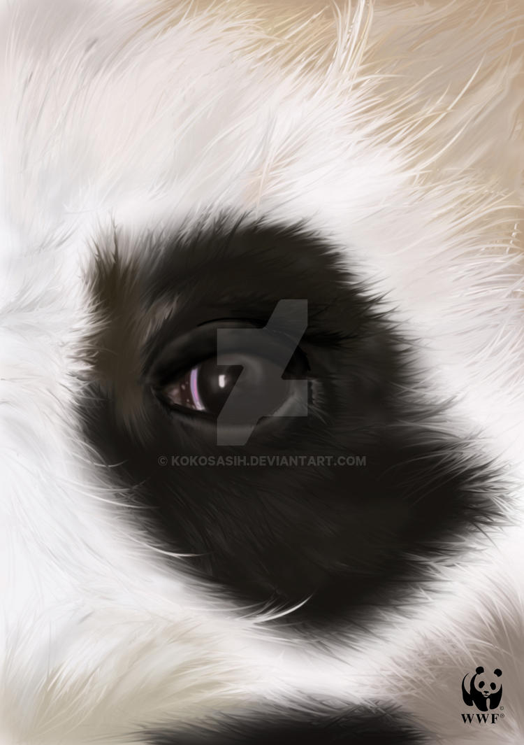 eye_of_panda_by_kokosasih-d5k0nm8.jpg