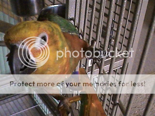 070903090700.jpg
