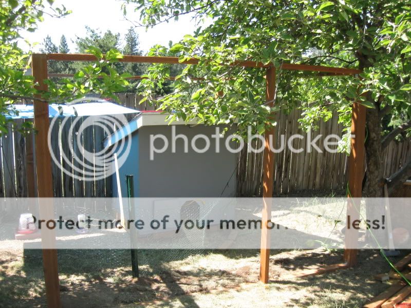 July18th2011002.jpg