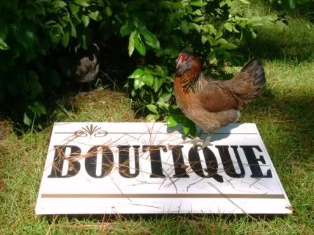 chicken-boutique.jpg