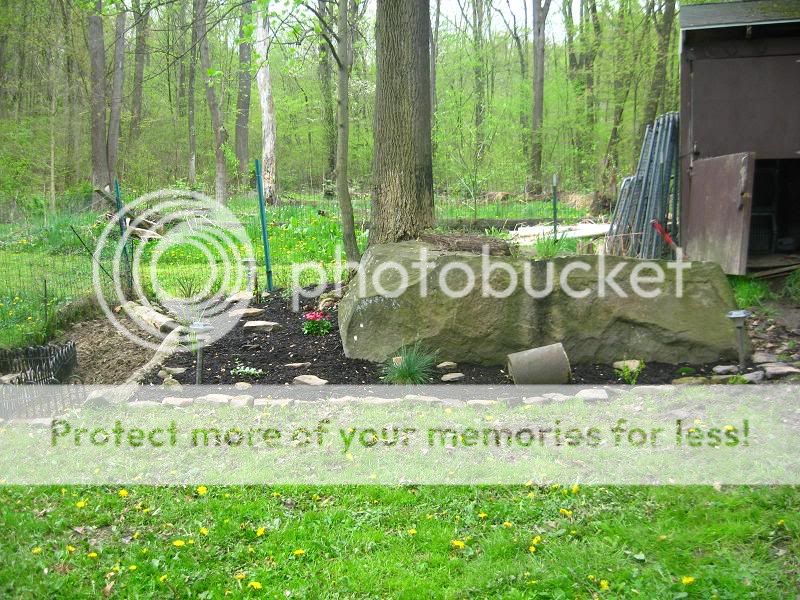 landscaping.jpg