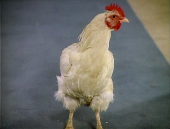 tumblr_mn34qiJHiQ1rriv0fo3_540.jpg
