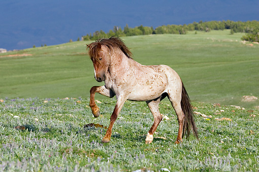 HOR_01_KH0087_01_P.JPG