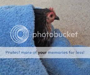 Bath.jpg