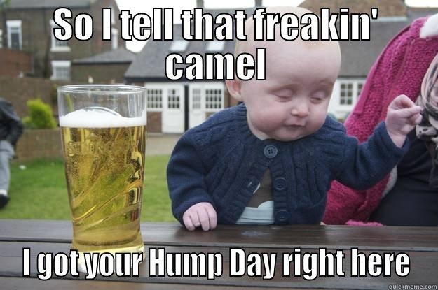 121103-Hump-Day-Camel.jpg