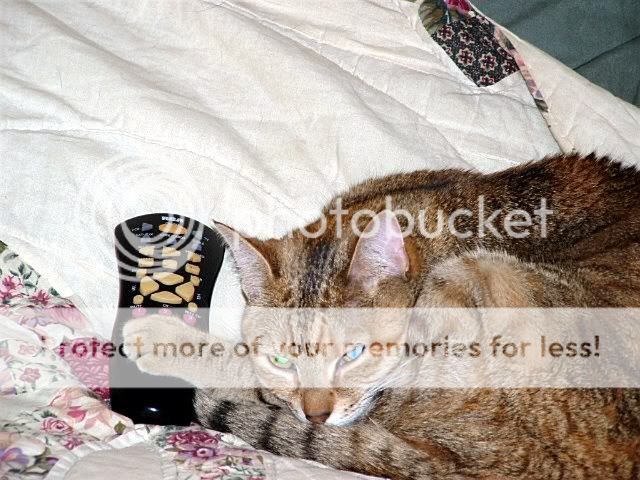 DSCF0032.jpg