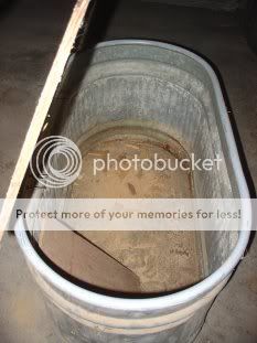 tankbrooder002.jpg