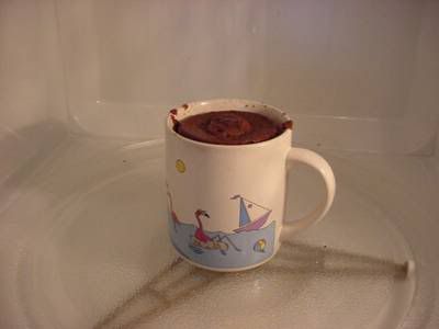 5MinuteChocolateMugCake001.jpg