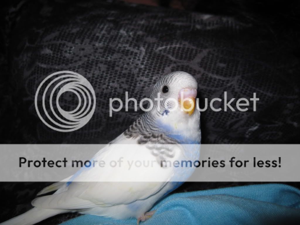 IMG_1559.jpg