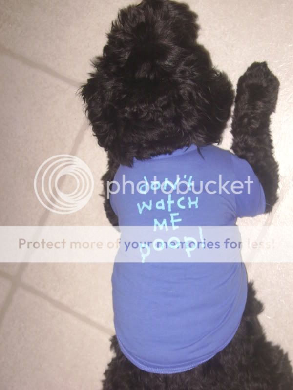 July2008005.jpg