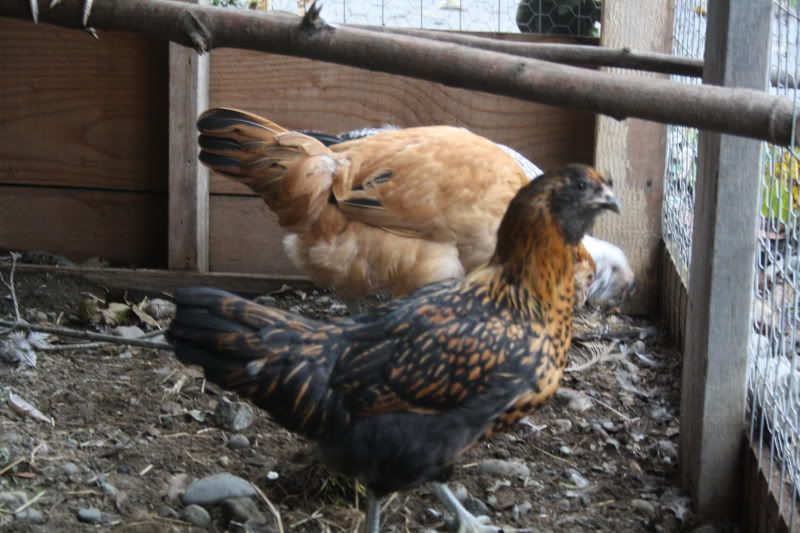 october2010330.jpg