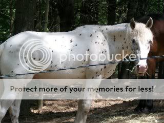 2009_07110013.jpg