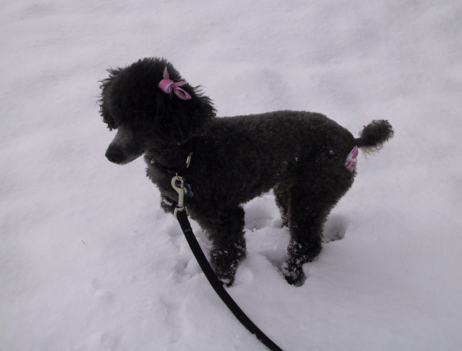 2007-01-16a-sm.jpg