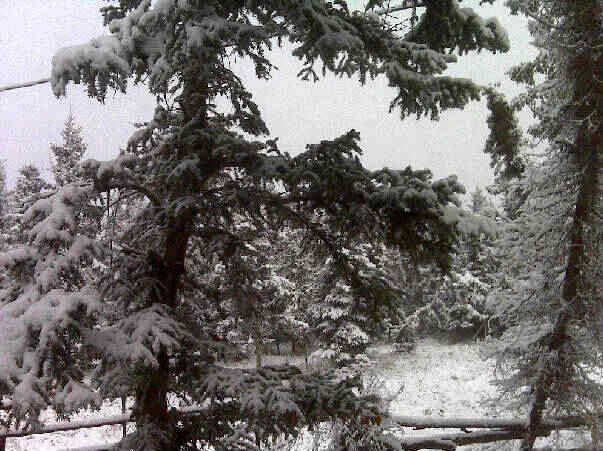 snow2.jpg