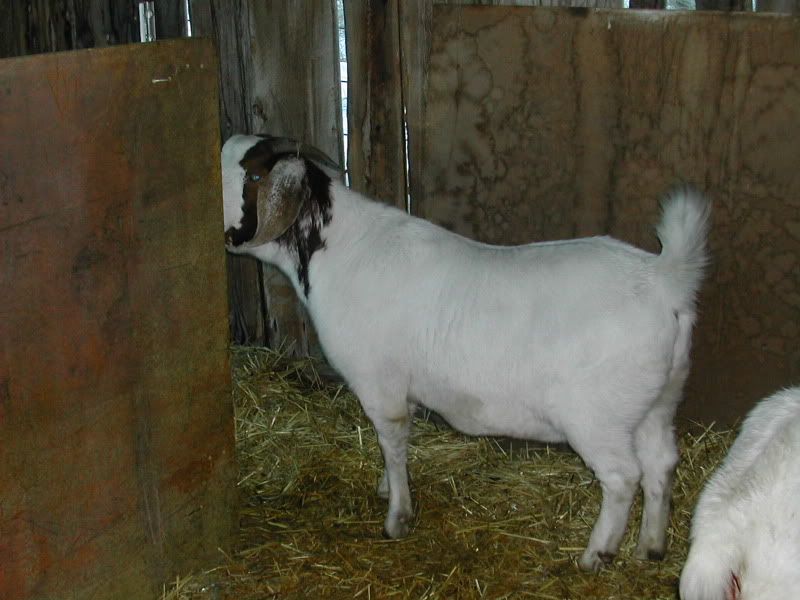 DSCN5126.jpg