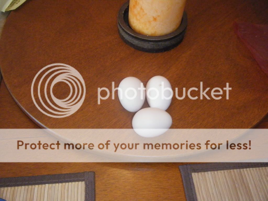 DSCF2667.jpg
