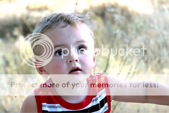 Ryder-3-1-1.jpg