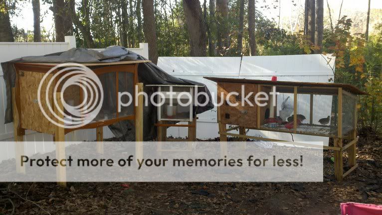 photobucket-5848-1323965486748.jpg