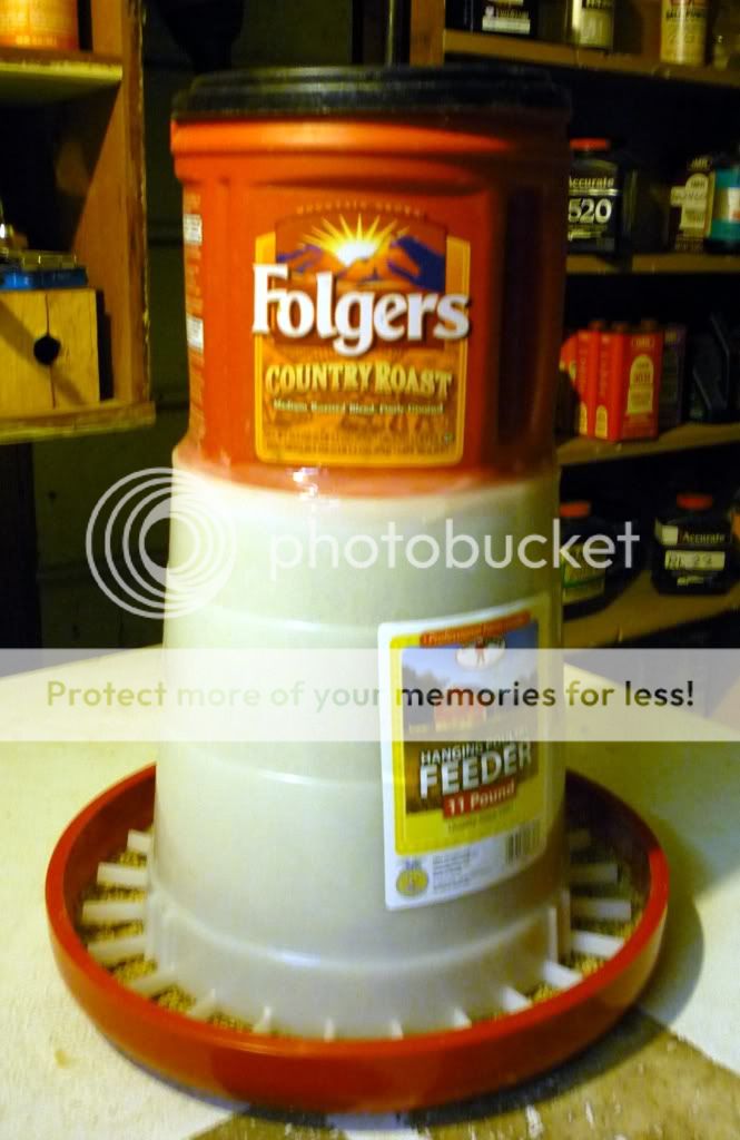 NEWFEEDER002.jpg