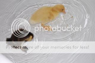 20110316_7.jpg
