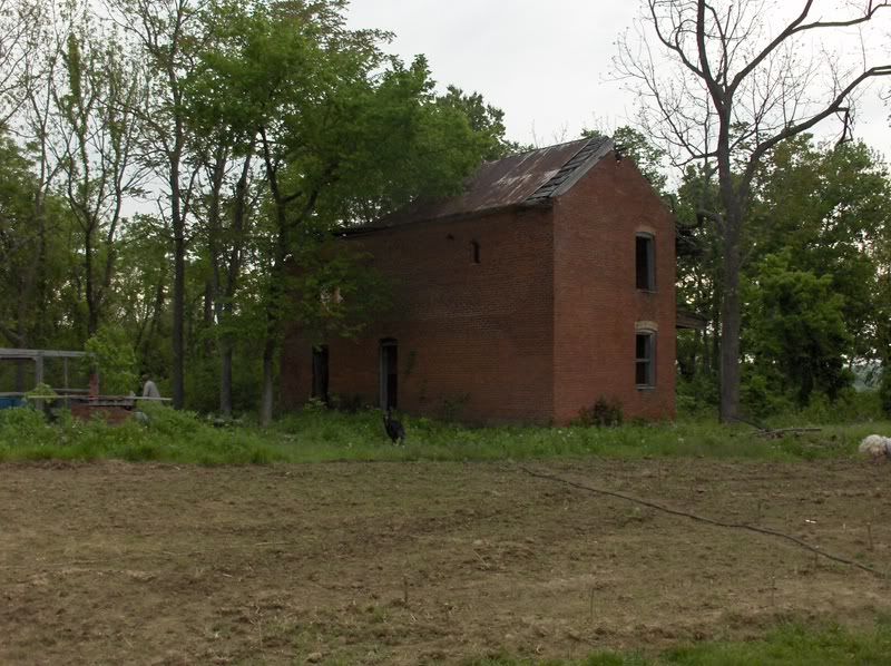HPIM0869.jpg