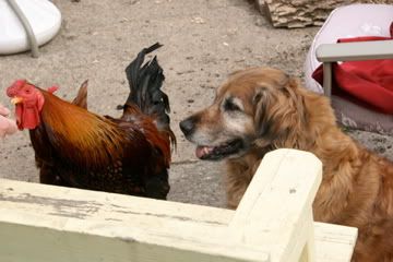 IMG_3981.jpg