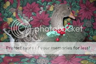 christmaschicks084.jpg