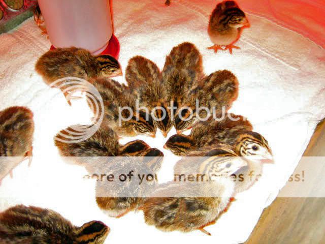 IMG_0616_edited.jpg