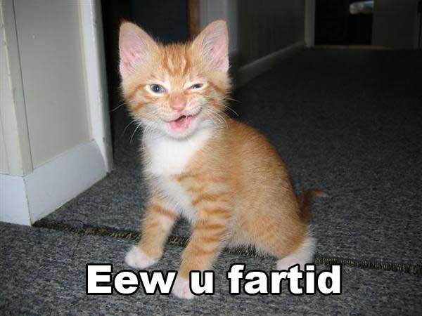081115-farted.jpg