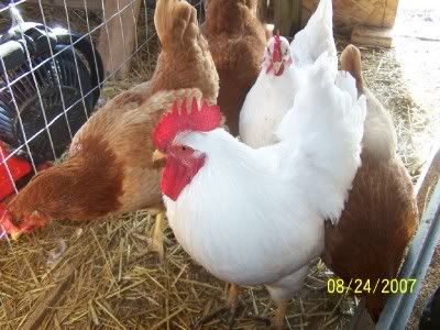 Groupshot8-07.jpg
